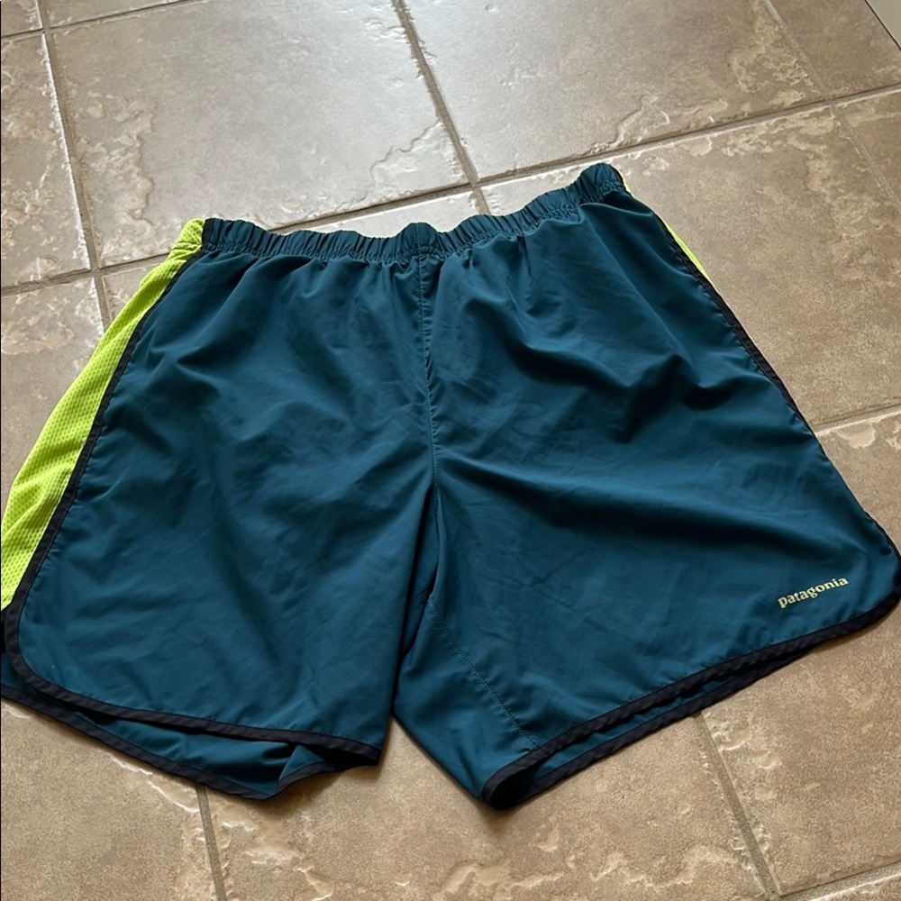Patagonia Teal and Neon Green lined Shorts